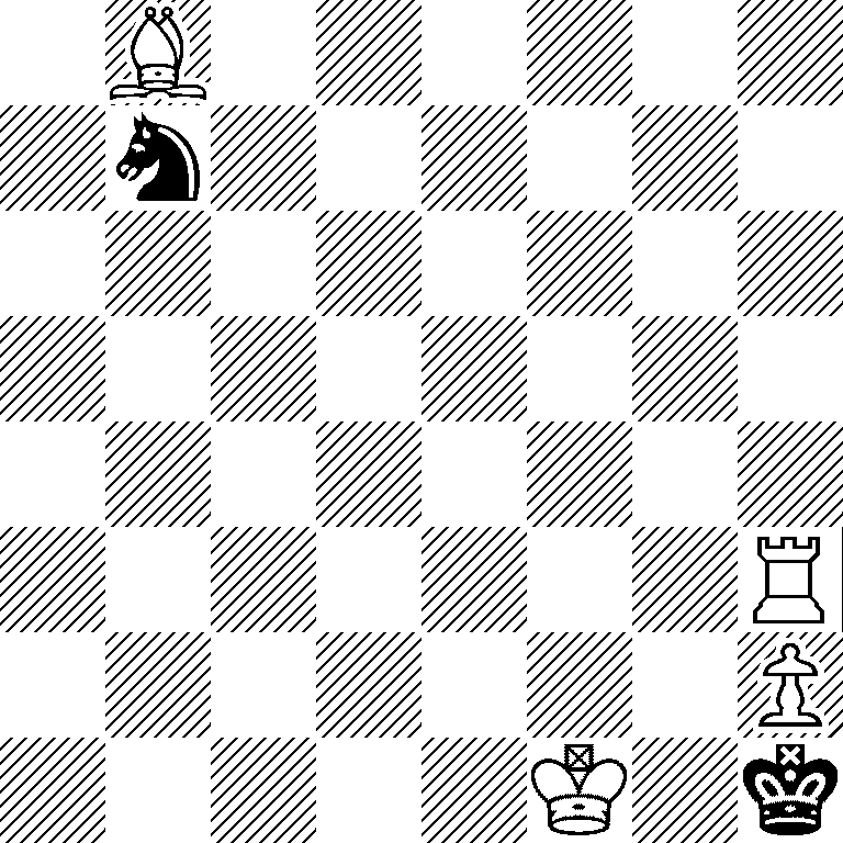 1B6/1n6/8/8/8/7R/7P/5K1k