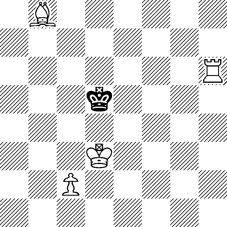 1B6/8/7R/3k4/8/3K4/2P5/8