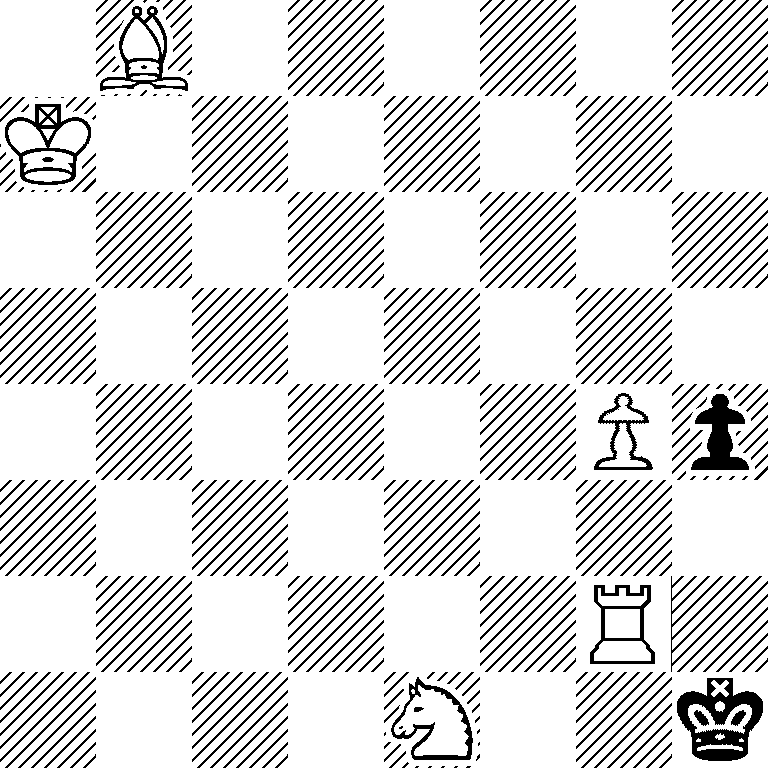 1B6/K7/8/8/6Pp/8/6R1/4N2k