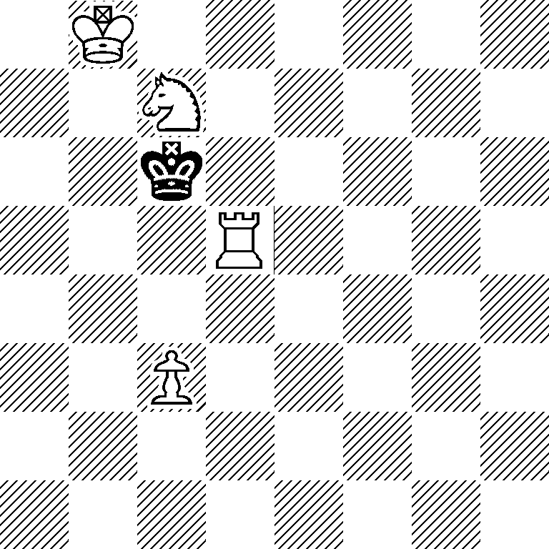 1K6/2N5/2k5/3R4/8/2P5/8/8