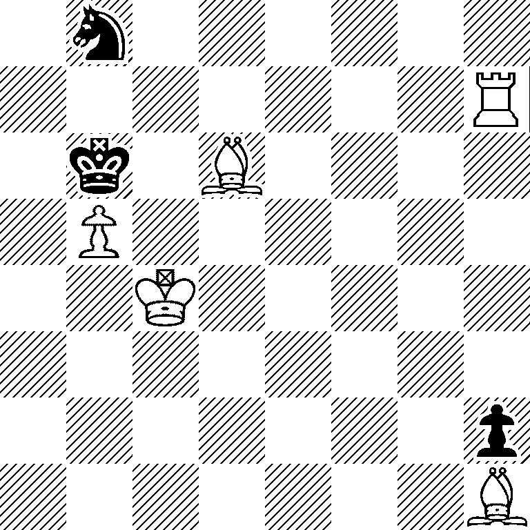 1n6/7R/1k1B4/1P6/2K5/8/7p/7B