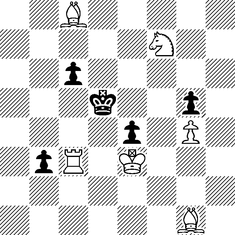 2B5/5N2/2p5/3k2p1/4p1P1/1pR1K3/8/6B1