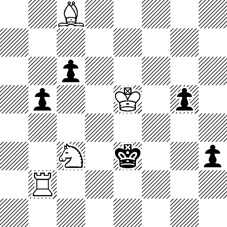 2B5/8/2p5/1p2K1p1/8/2N1k2p/1R6/8