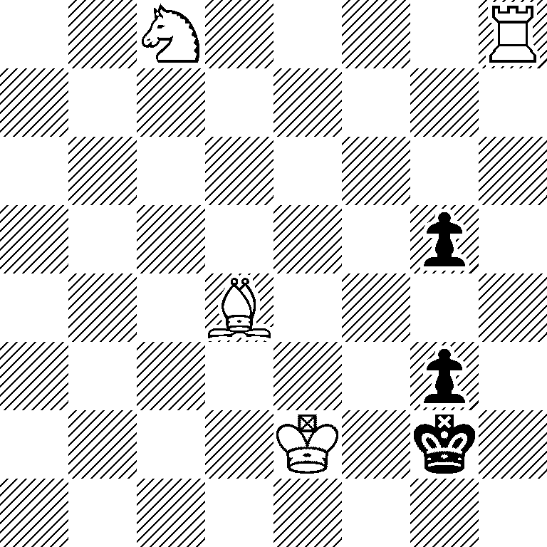 2N4R/8/8/6p1/3B4/6p1/4K1k1/8