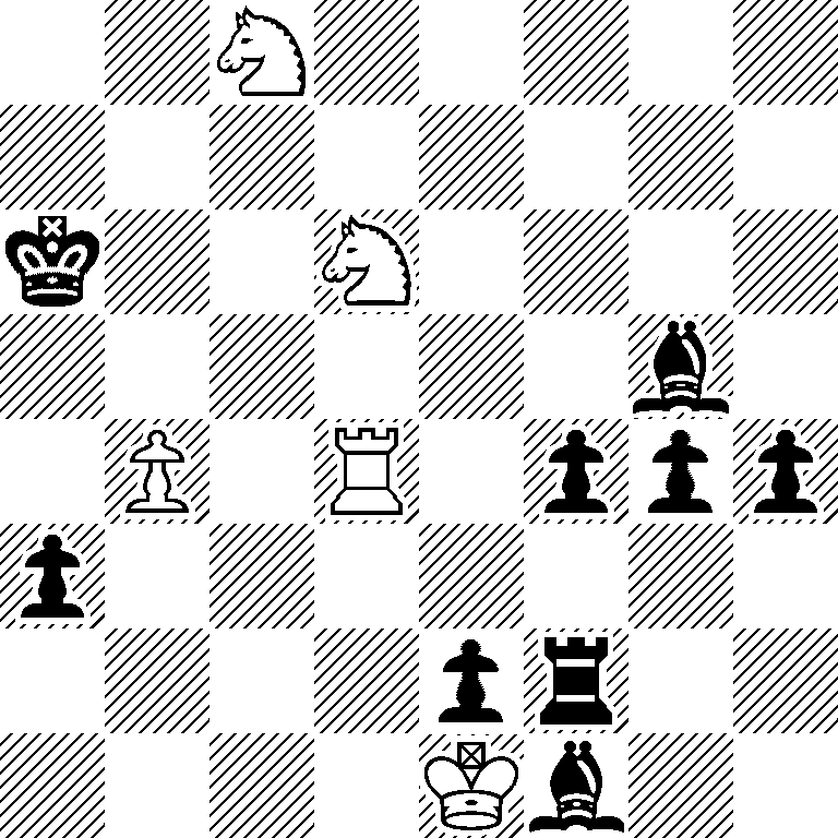 2N5/8/k2N4/6b1/1P1R1ppp/p7/4pr2/4Kb2