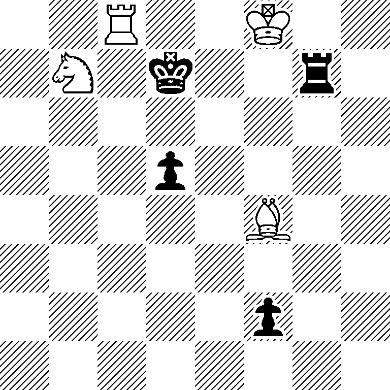 2R2K2/1S1k2r1/8/3p4/5B2/8/5p2/8
