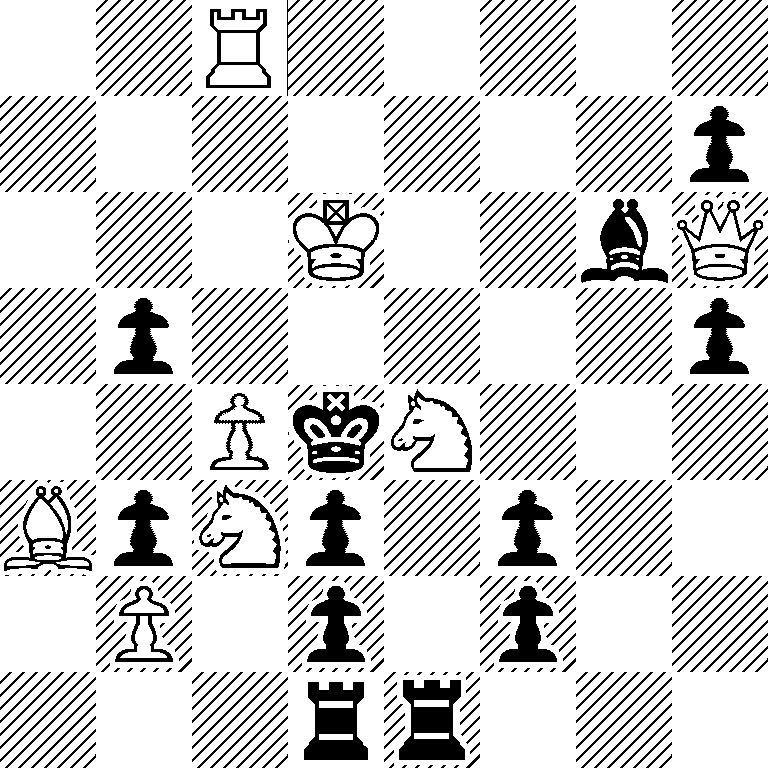 2R5/7p/3K2bQ/1p5p/2PkN3/BpNp1p2/1P1p1p2/3rr3