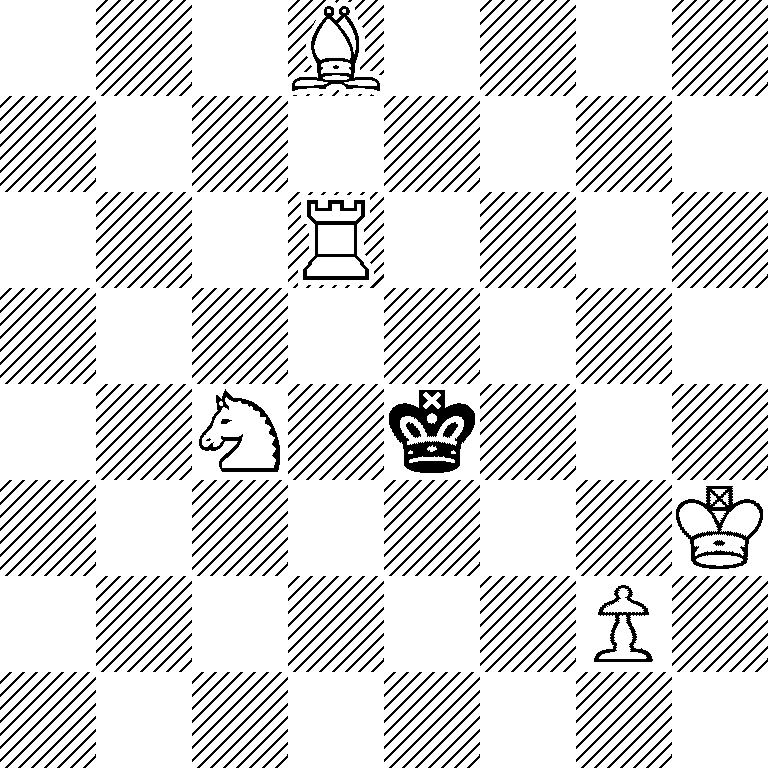 3B4/8/3R4/8/2N1k3/7K/6P1/8