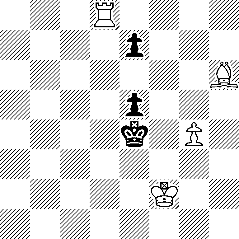 3R4/4p3/7B/4p3/4k1P1/8/5K2/8