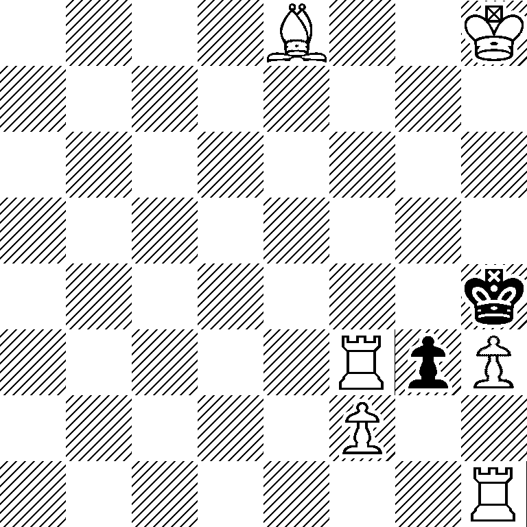 4B2K/8/8/8/7k/5RpP/5P2/7R