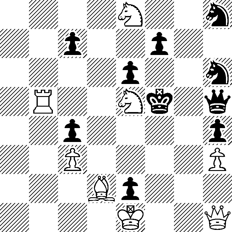 4N2n/2p2p2/4p2n/1R2Nk1q/2p4p/2P4P/3Bp3/4K2Q
