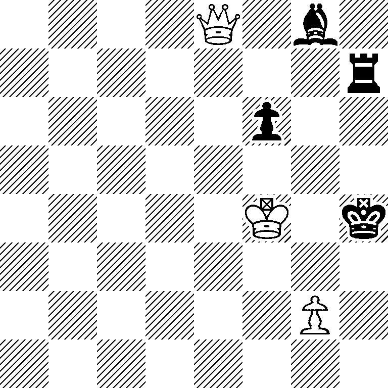 4Q1b1/7r/5p2/8/5K1k/8/6P1/8