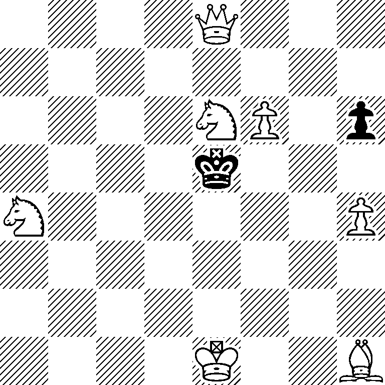 4Q3/8/4NP1p/4k3/N6P/8/8/4K2B