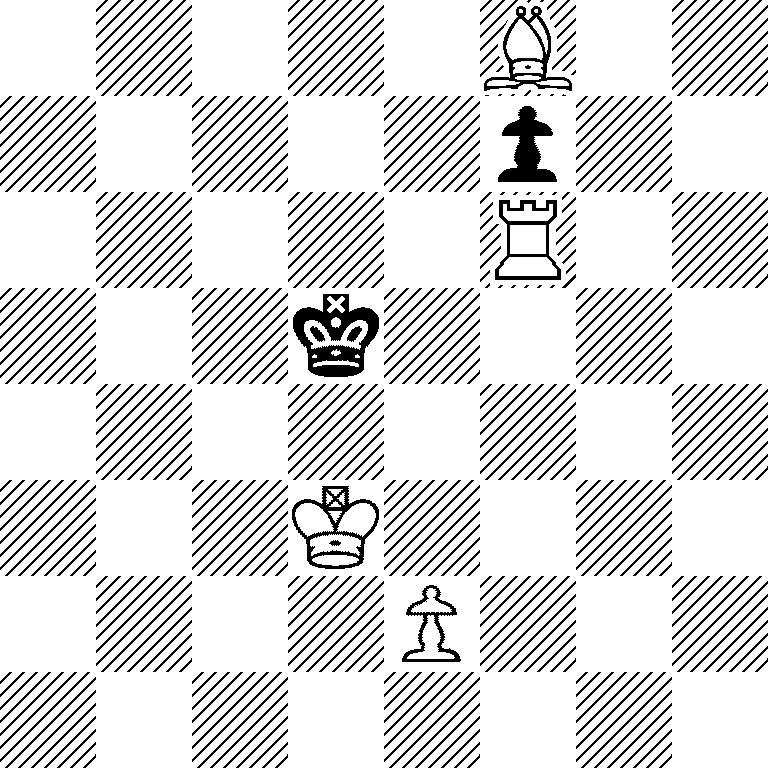 5B2/5p2/5R2/3k4/8/3K4/4P3/8
