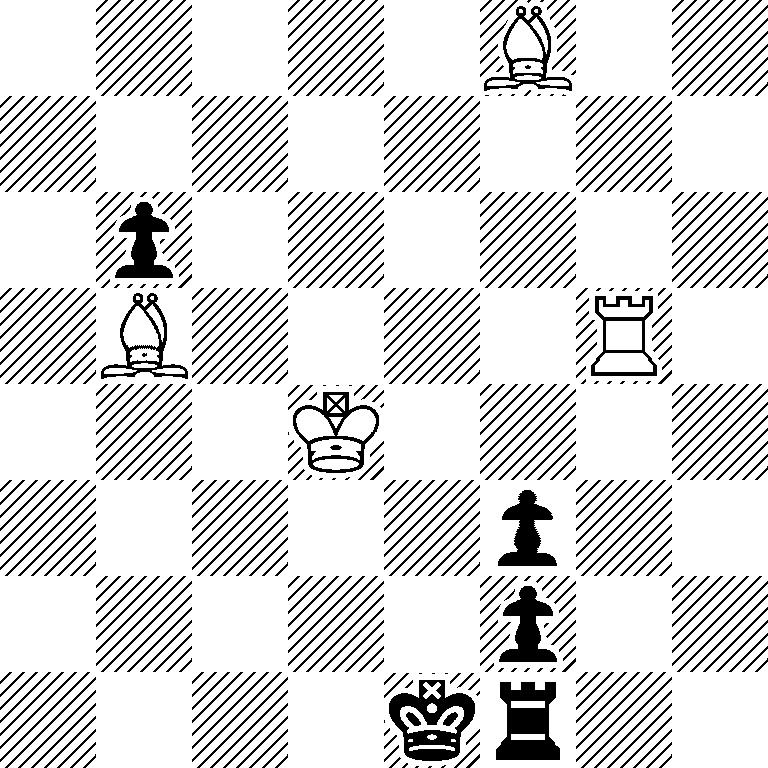 5B2/8/1p6/1B4R1/3K4/5p2/5p2/4kr2