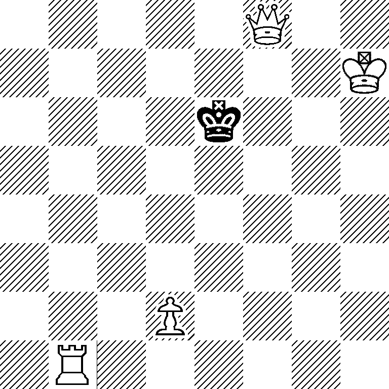 5Q2/7K/4k3/8/8/8/3P4/1R6