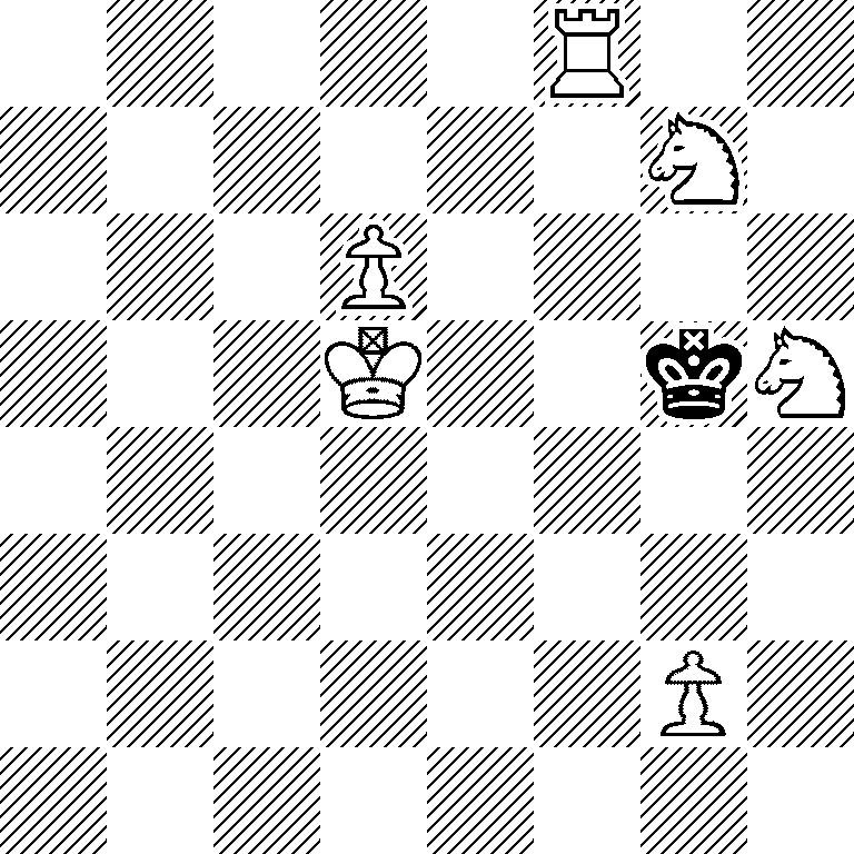 5R2/6N1/3P4/3K2kN/8/8/6P1/8