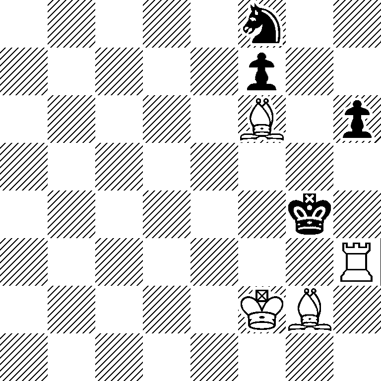 5n2/5p2/5B1p/8/6k1/7R/5KB1/8