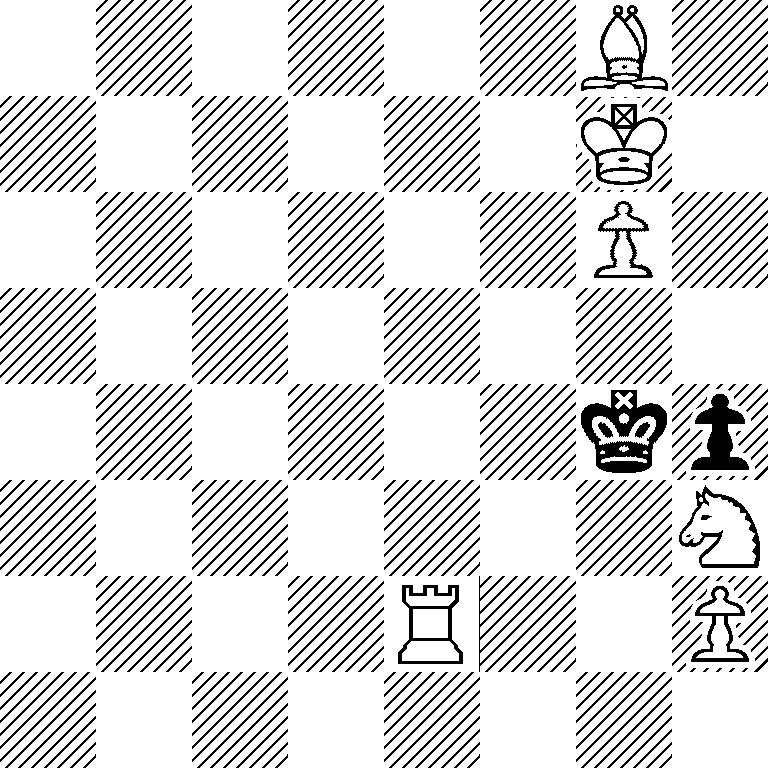 6B1/6K1/6P1/8/6kp/7N/4R2P/8