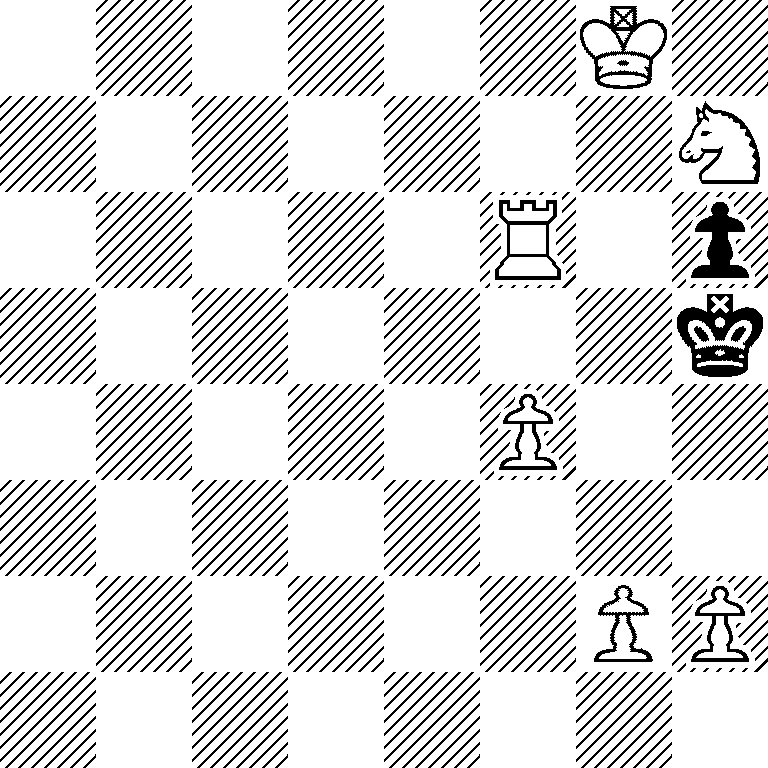 6K1/7N/5R1p/7k/5P2/8/6PP/8