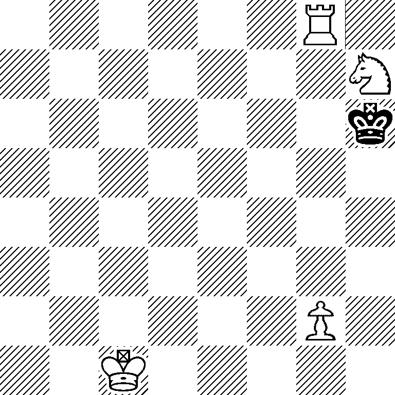 6R1/7N/7k/8/8/8/6P1/2K5