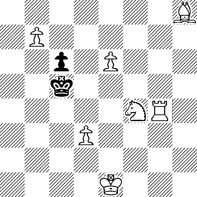 7B/1P6/2p1P3/2k5/5NR1/3P4/8/4K3