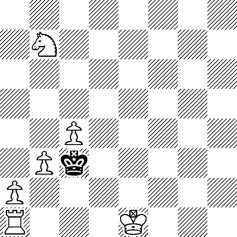 8/1N6/8/8/2P5/1Pk5/P7/R3K3