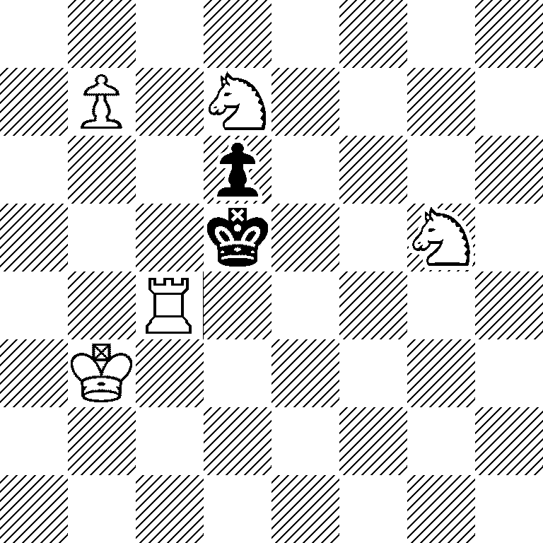 8/1P1N4/3p4/3k2N1/2R5/1K6/8/8