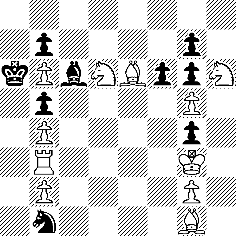 8/1p4p1/kPbNBppN/1p4P1/1P4p1/1R4K1/1P4P1/1n4B1