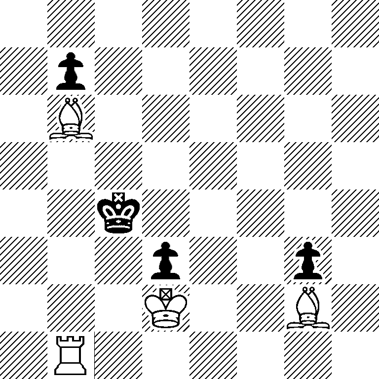 8/1p6/1B6/8/2k5/3p2p1/3K2B1/1R6