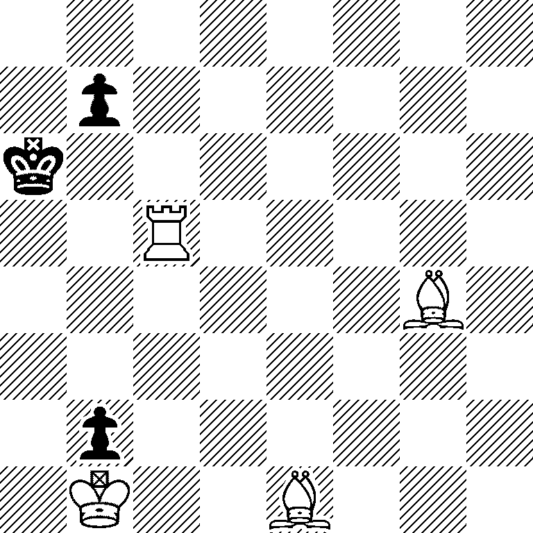 8/1p6/k7/2R5/6B1/8/1p6/1K2B3