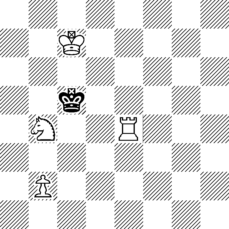 8/2K5/8/2k5/1N2R3/8/1P6/8