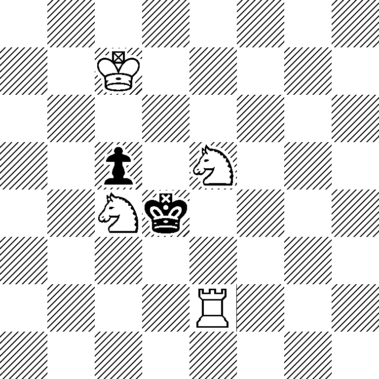 8/2K5/8/2p1N3/2Nk4/8/4R3/8