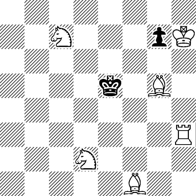 8/2N3pK/8/4k1B1/8/7R/3N4/5B2