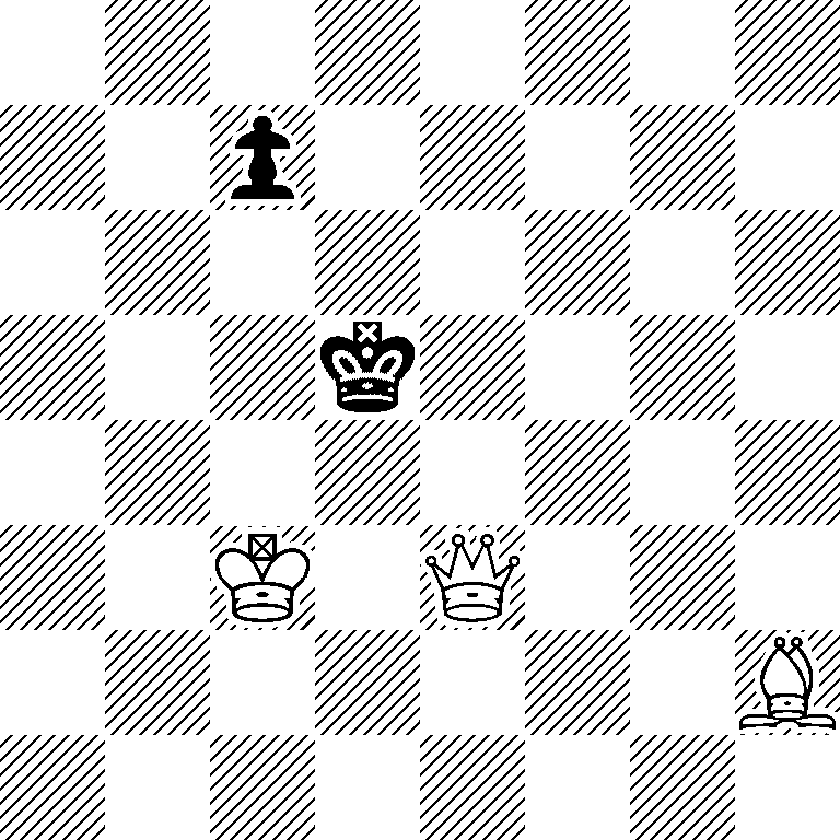 8/2p5/8/3k4/8/2K1Q3/7B/8