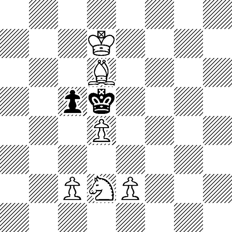 8/3K4/3B4/2pk4/3P4/8/2PNP3/8