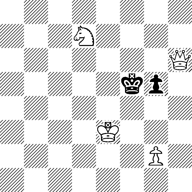 8/3N4/7Q/5kp1/8/4K3/6P1/8