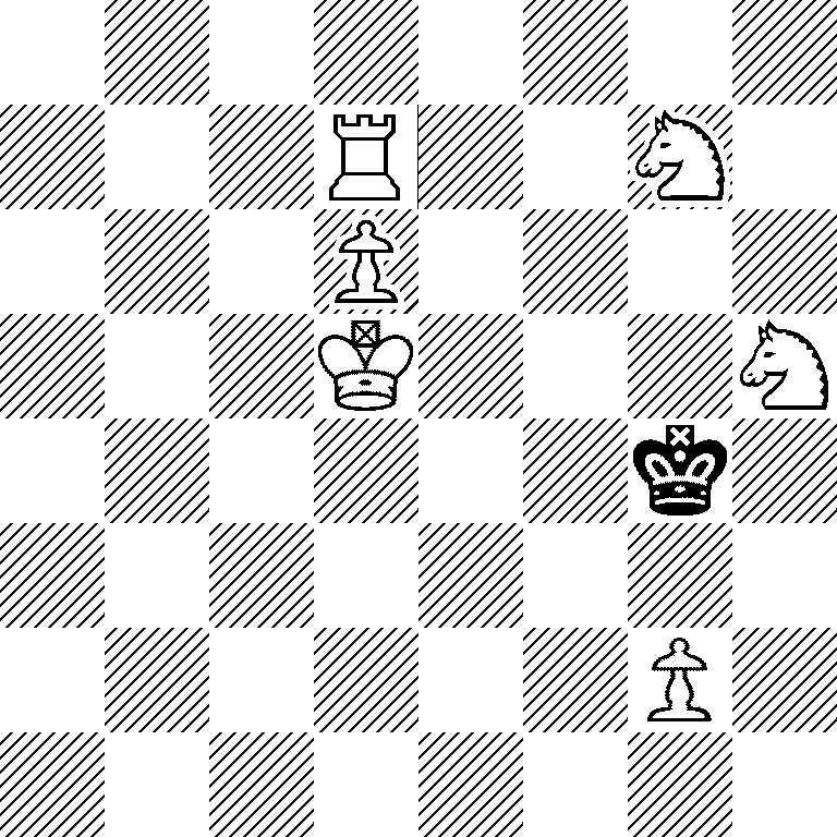 8/3R2N1/3P4/3K3N/6k1/8/6P1/8