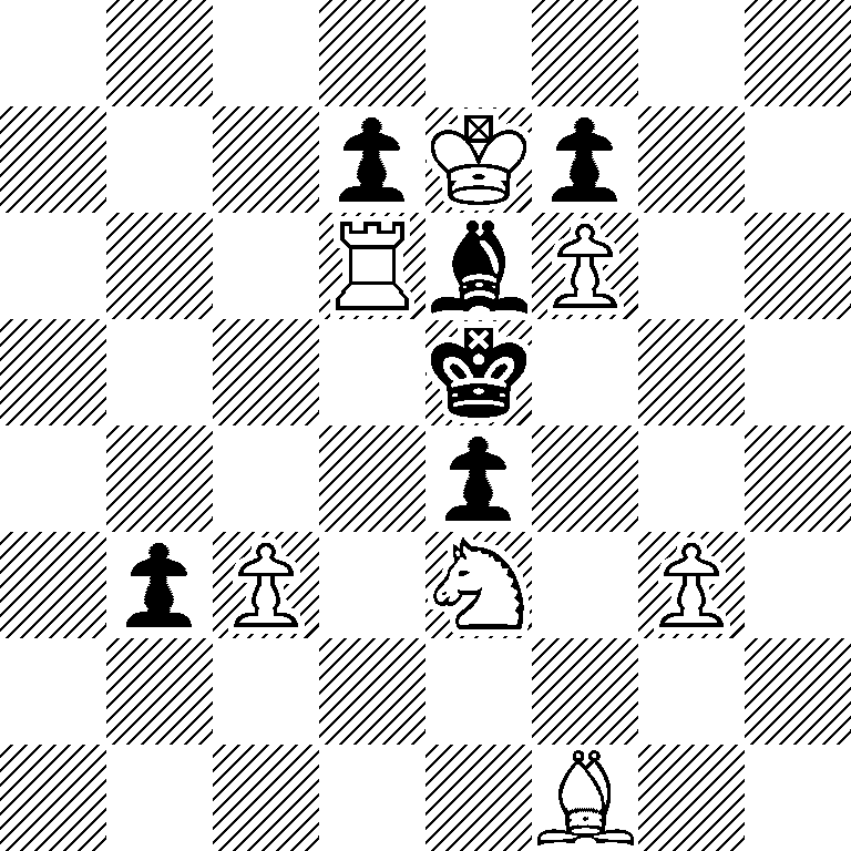 8/3pKp2/3RbP2/4k3/4p3/1pP1N1P1/8/5B2