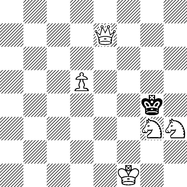 8/4Q3/8/3P4/6k1/6NN/8/5K2