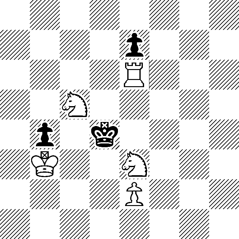 8/4p3/4R3/2N5/1p1k4/1K2N3/4P3/8