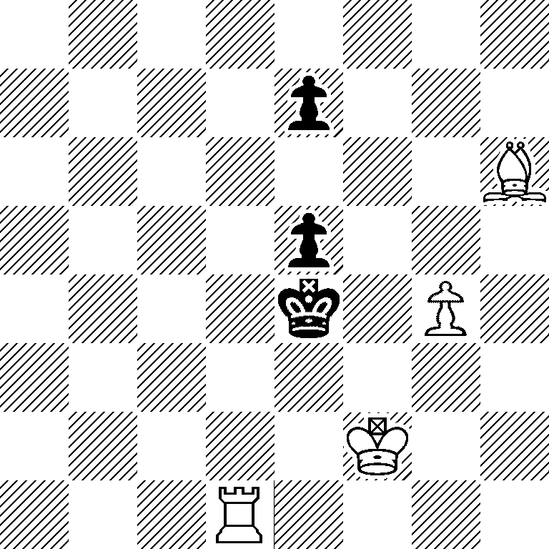 8/4p3/7B/4p3/4k1P1/8/5K2/3R4