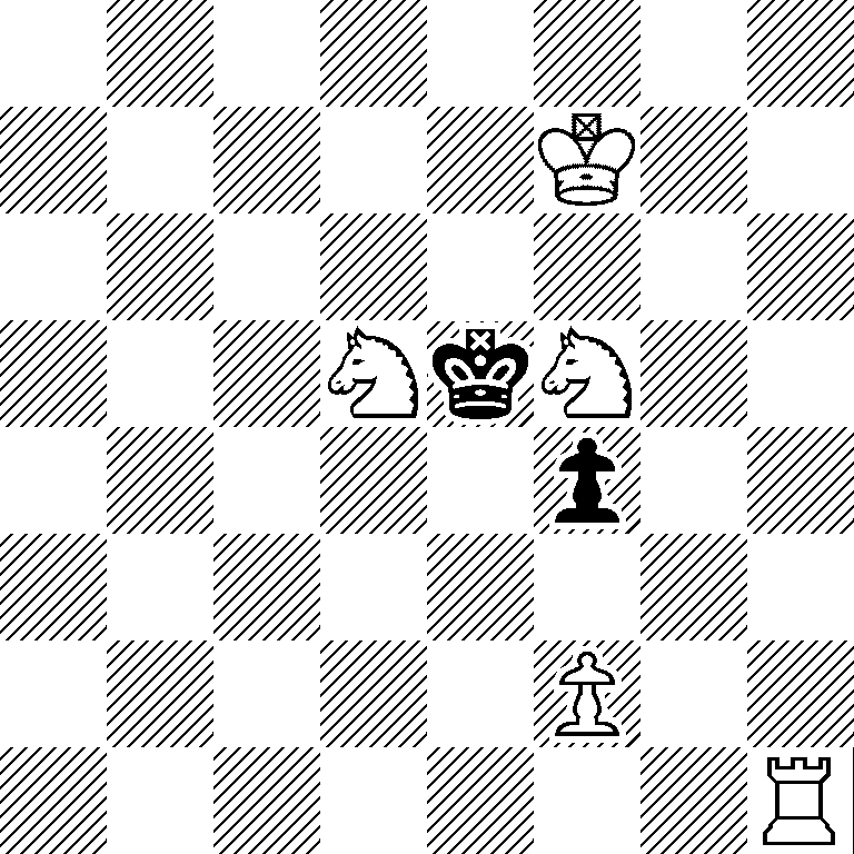 8/5K2/8/3NkN2/5p2/8/5P2/7R