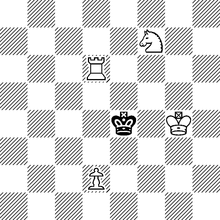 8/5N2/3R4/8/4k1K1/8/3P4/8