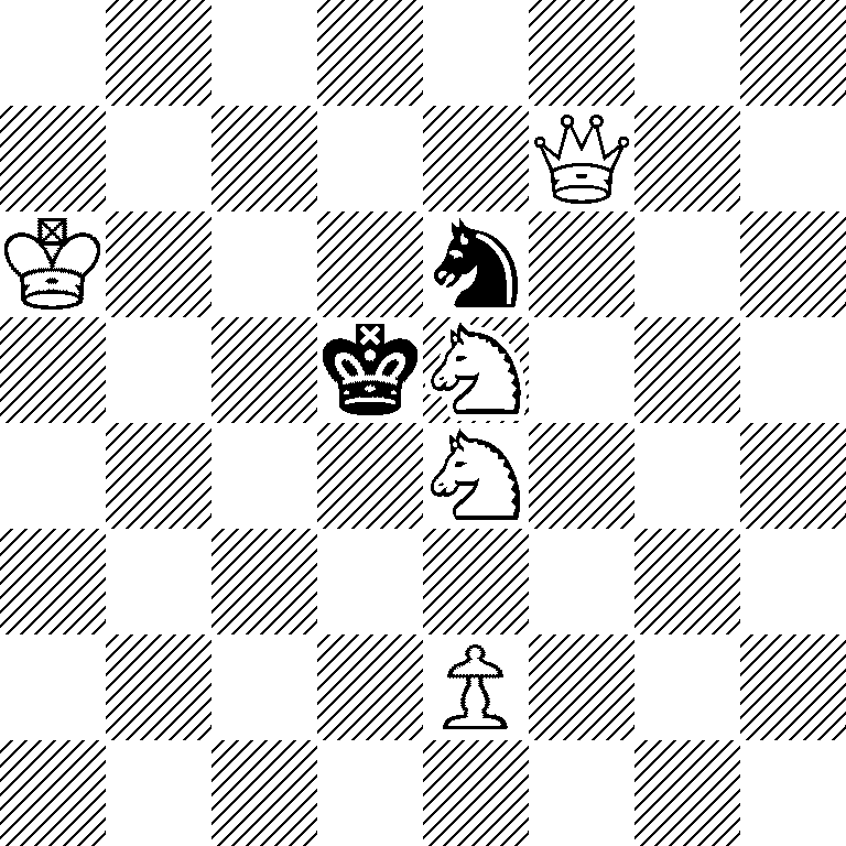 8/5Q2/K3n3/3kN3/4N3/8/4P3/8