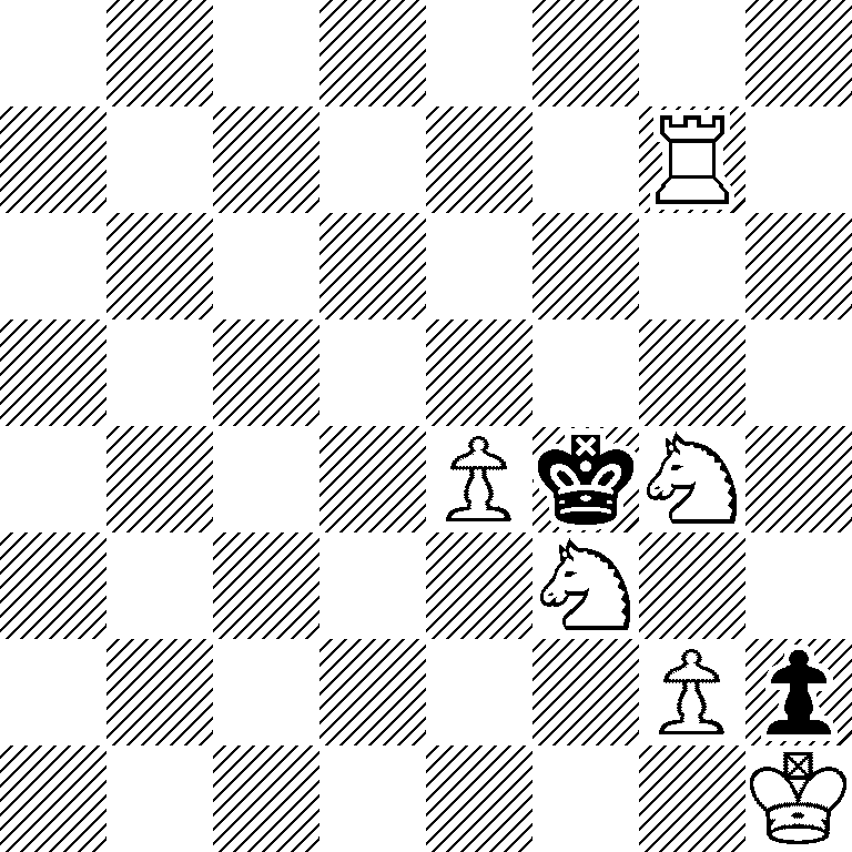 8/6R1/8/8/4PkN1/5N2/6Pp/7K