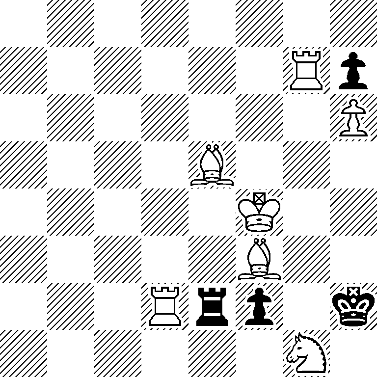 8/6Rp/7P/4B3/5K2/5B2/3Rrp1k/6N1