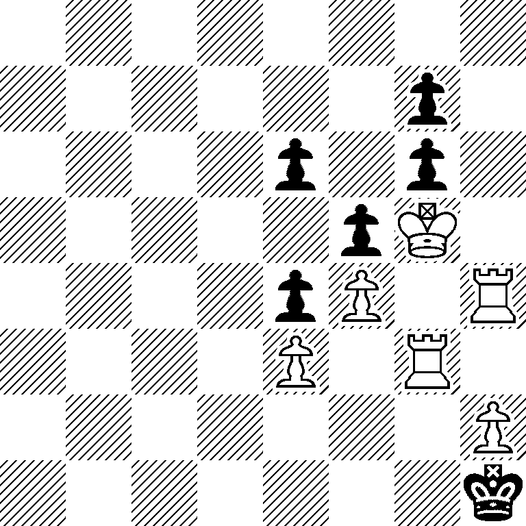 8/6p1/4p1p1/5pK1/4pP1R/4P1R1/7P/7k