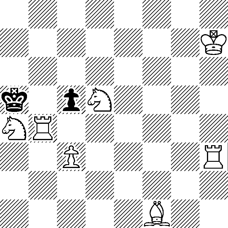 8/7K/8/k1pN4/NR6/2P4R/8/5B2