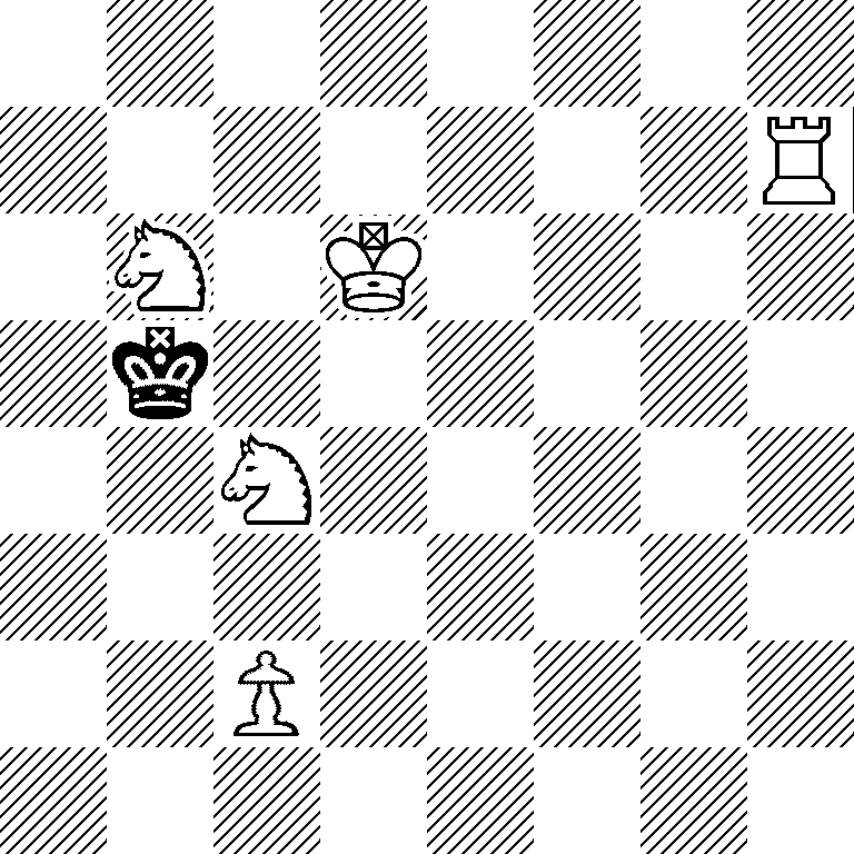 8/7R/1N1K4/1k6/2N5/8/2P5/8